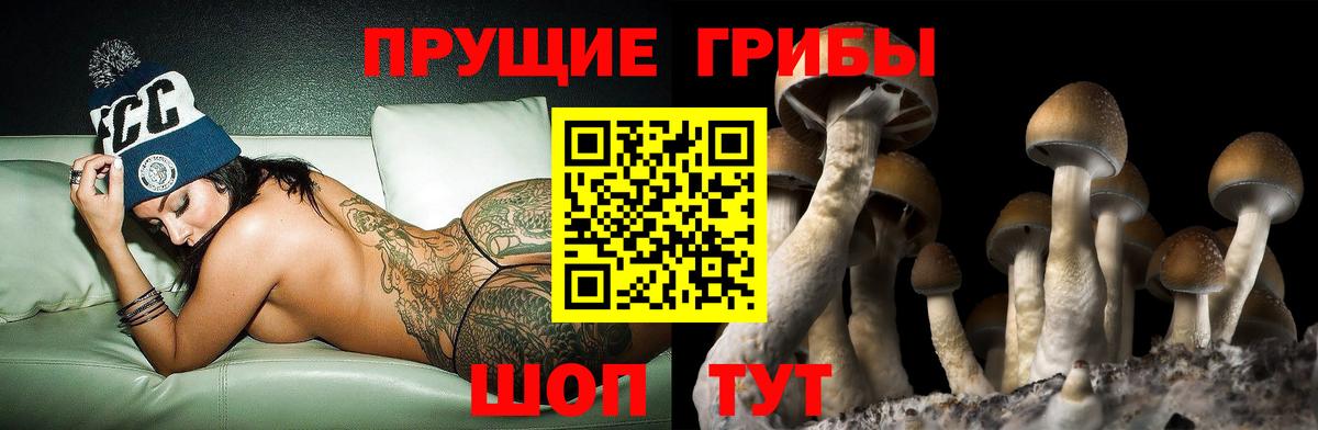 Йошкар-Ола  Псилоцибиновые грибы ЛСД  где купить наркоту  Вход с VPN 